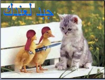 hsltiiiiiiiiiiiiii